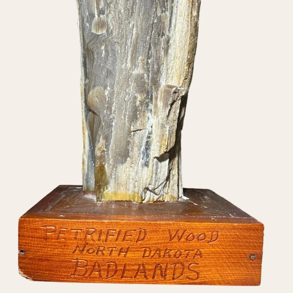 PETRIFIED WOOD NORTH DAKOTA BADLANDS ON VINTAGE HANDMADE STAND - Picture 2 of 12